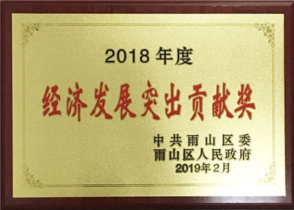 2018年度经济发展突出贡献奖 